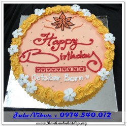 Mẫu Bánh Sinh Nhật Đẹp - A1172